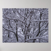 Schwarz und Weiß Poster (Vorne)