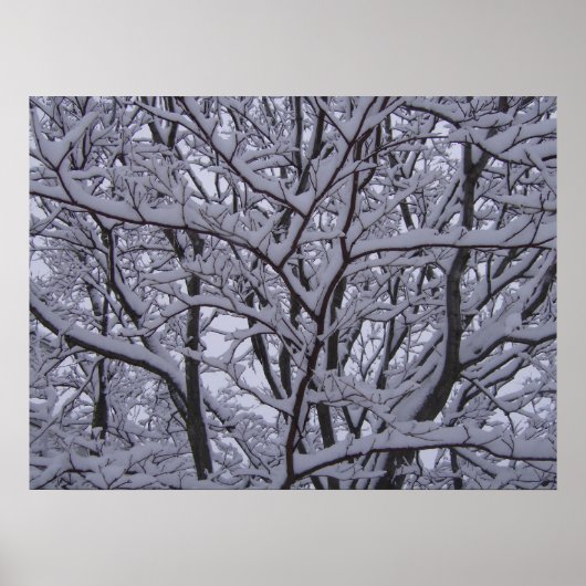 Schwarz und Weiß Poster (Vorne)