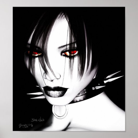 Schwarz und Weiß Poster (Vorne)