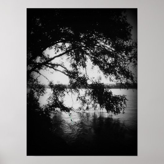 Schwarz und Weiß Poster (Vorne)
