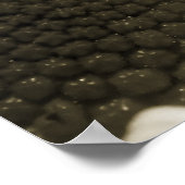 Schwarz und Weiß Poster (Ecke)