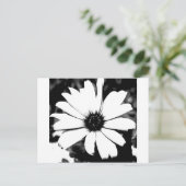 Schwarz und Weiß Postkarte (Stehend Vorderseite)