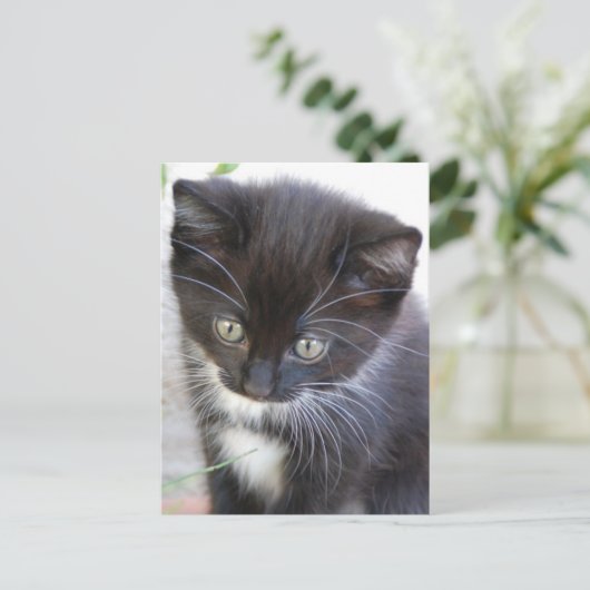 Schwarz und Weiß Postkarte (Stehend Vorderseite)