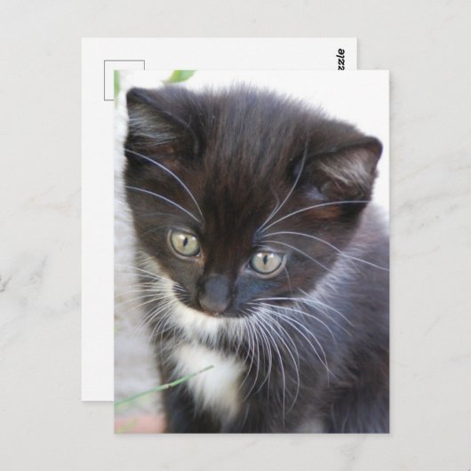 Schwarz und Weiß Postkarte (Vorne/Hinten)