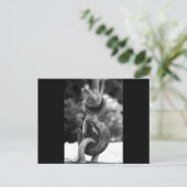 Schwarz und Weiß Postkarte (Stehend Vorderseite)