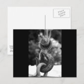 Schwarz und Weiß Postkarte (Vorne/Hinten)