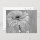 Schwarz und Weiß Postkarte (Vorne/Hinten)