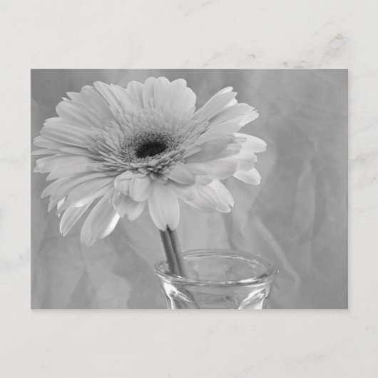 Schwarz und Weiß Postkarte (Vorderseite)