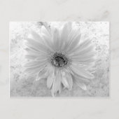 Schwarz und Weiß Postkarte (Vorderseite)