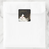 Schwarz und Weiß Quadratischer Aufkleber (Tasche)