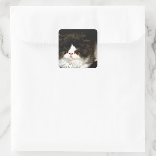 Schwarz und Weiß Quadratischer Aufkleber (Tasche)