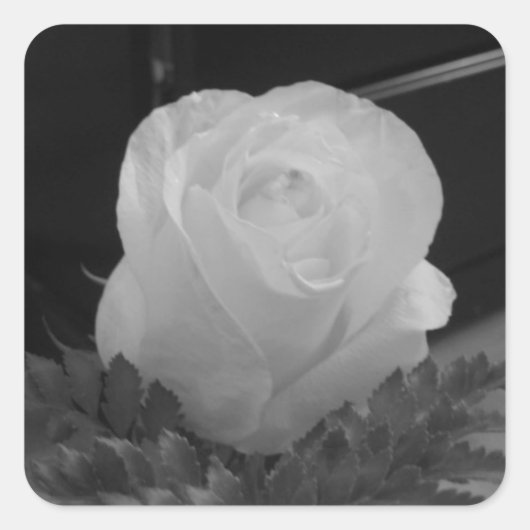 Schwarz und Weiß Quadratischer Aufkleber (Vorderseite)