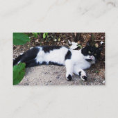 SCHWARZ UND WEISS TÜRKISCHER KATZPIERO VISITENKARTE (Rückseite)