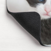Schwarz und Weiß Tuxedo Kitten Mousepad (Ecke)