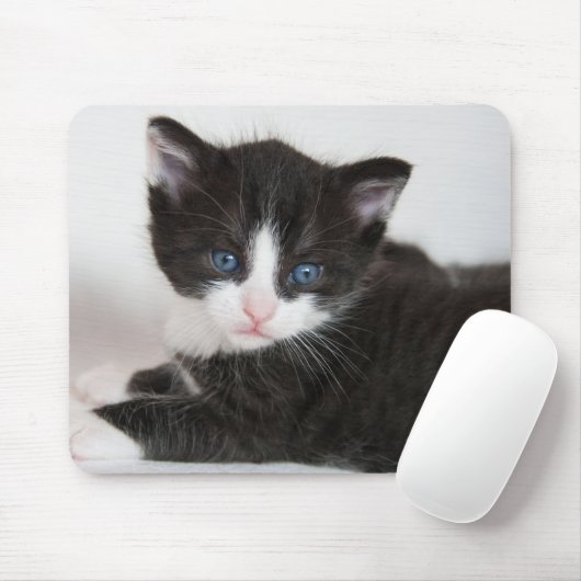 Schwarz und Weiß Tuxedo Kitten Mousepad (Mit Mouse)