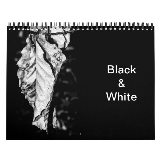 Schwarz. und Weißkalender Kalender (Titelbild)