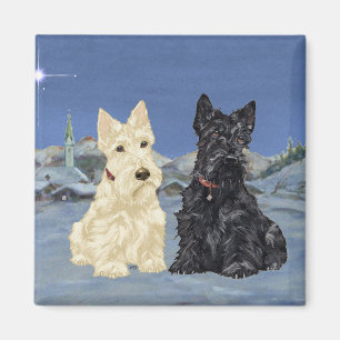 Schwarz- und Weizenfarbene Scottish Terrier im Win Magnet