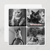 Schwarz-weiß (Vorne/Hinten)