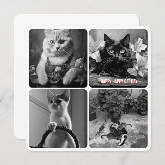 Schwarz-weiß (Vorne/Hinten)