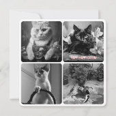 Schwarz-weiß (Vorderseite)