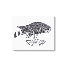 Schwarz-Weiß-Abbildung von Sparrow Hawk