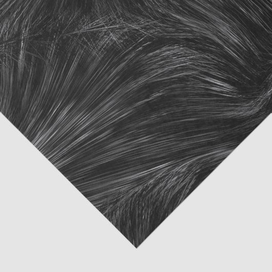Schwarz-Weiß-Abstrakte Feder Seidenpapier (Ausschnitt)