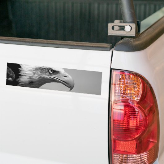 Schwarz-Weiß-Adler Autoaufkleber (Auf Lkw)