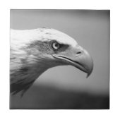 Schwarz-Weiß-Adler Fliese (Vorderseite)