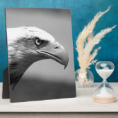 Schwarz-Weiß-Adler Fotoplatte (Seite)