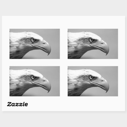 Schwarz-Weiß-Adler Rechteckiger Aufkleber (Blatt)