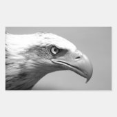 Schwarz-Weiß-Adler Rechteckiger Aufkleber (Vorderseite)