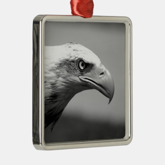 Schwarz-Weiß-Adler Silbernes Ornament (Rechts)