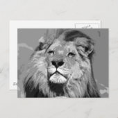 Schwarz-Weiß-Afrikanische Lion Postkarte (Vorne/Hinten)