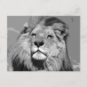 Schwarz-Weiß-Afrikanische Lion Postkarte