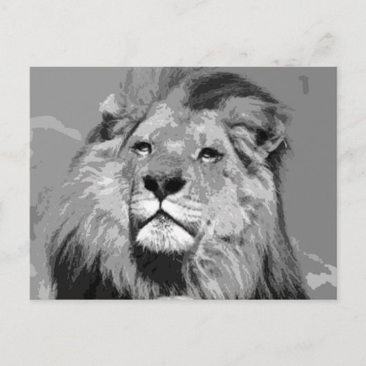 Schwarz-Weiß-Afrikanische Lion Postkarte (Vorderseite)