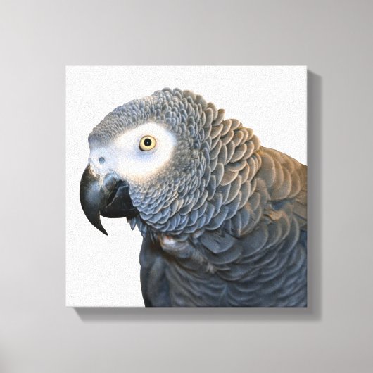 Schwarz-Weiß-Afrikanischer Grau-Papagei-Canvas dru Leinwanddruck (Vorderseite)