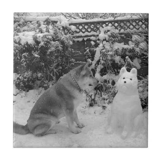 Schwarz-Weiß-Akita mit Schneehund Fliese (Vorderseite)