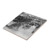 Schwarz-Weiß-Akita mit Schneehund Fliese (Seite)