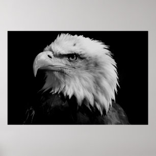 Schwarz-Weiß-Amerikaner-Adler Poster