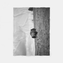 Schwarz-Weiß-Amerikanisches Bison Stehend Klein Fleecedecke