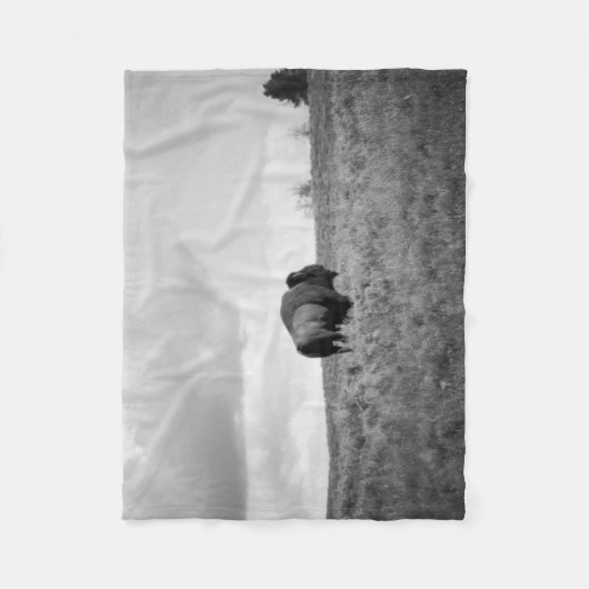 Schwarz-Weiß-Amerikanisches Bison Stehend Klein Fleecedecke (Vorderseite)