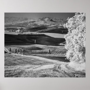 Schwarz-Weiß-Ansicht der kurvenreichen Straße Poster