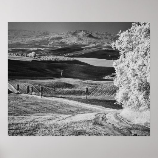 Schwarz-Weiß-Ansicht der kurvenreichen Straße Poster (Vorne)