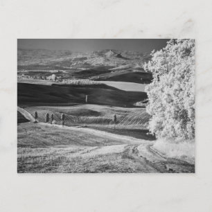 Schwarz-Weiß-Ansicht einer gewundenen Straße Postkarte