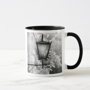 Schwarz-Weiß-Ansicht einer Leuchte Tasse
