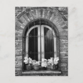 Schwarz-Weiß-Ansicht von Fenster- und Blume-Töpfen Postkarte (Vorderseite)