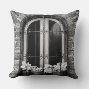 Schwarz-Weiß-Ansicht von Fenster und Blumenkübel Kissen