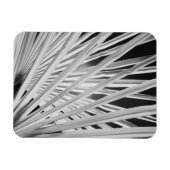 Schwarz-Weiß-Ansicht von Palmenblättern Magnet (Horizontal)