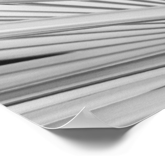 Schwarz-Weiß-Ansicht von Palmenblättern Poster (Ecke)