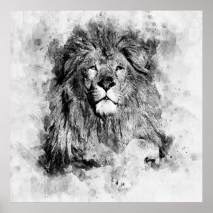 Schwarz-Weiß-Aquarellbild von männlichen Löwen Poster